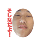 政策創造学部（個別スタンプ：1）