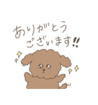 かわいいトイプードル【敬語/挨拶/犬】モカ（個別スタンプ：2）