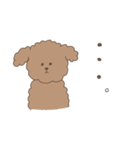 かわいいトイプードル【敬語/挨拶/犬】モカ（個別スタンプ：4）