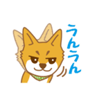 やんちゃ柴犬 茶々 短いリアクション（個別スタンプ：21）