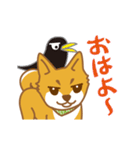 やんちゃ柴犬 茶々 短いリアクション（個別スタンプ：22）