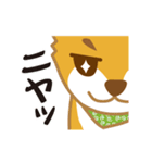 やんちゃ柴犬 茶々 短いリアクション（個別スタンプ：24）