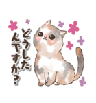 ねこの敬語 水彩風（個別スタンプ：1）