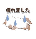 ねこの敬語 水彩風（個別スタンプ：23）