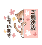 ねこの敬語 水彩風（個別スタンプ：30）