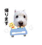 レオのLINEスタンプ（個別スタンプ：10）