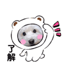 レオのLINEスタンプ（個別スタンプ：14）