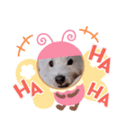 レオのLINEスタンプ（個別スタンプ：23）