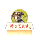 レバシュナるーかす。（個別スタンプ：7）