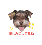 レバシュナるーかす。（個別スタンプ：14）