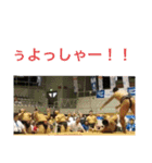 JOYあおやま 1（個別スタンプ：8）