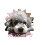 やまとくんとミミちゃん（個別スタンプ：3）