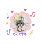 やまとくんとミミちゃん（個別スタンプ：5）