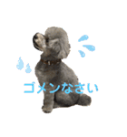 やまとくんとミミちゃん（個別スタンプ：8）