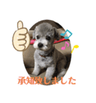 やまとくんとミミちゃん（個別スタンプ：9）