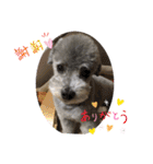 やまとくんとミミちゃん（個別スタンプ：11）