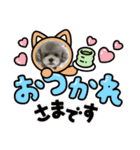 やまとくんとミミちゃん（個別スタンプ：18）