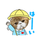 コータローの日常（個別スタンプ：2）