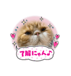 コータローの日常（個別スタンプ：6）