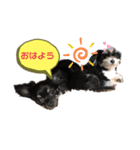 苺子とうたとむう ごあいさつスタンプ 1（個別スタンプ：1）