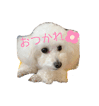 ひなんぷ  vol.2（個別スタンプ：1）