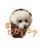 ひなんぷ  vol.2（個別スタンプ：2）