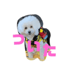 ひなんぷ  vol.2（個別スタンプ：4）