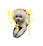 ひなんぷ  vol.2（個別スタンプ：8）