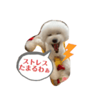 ひなんぷ  vol.2（個別スタンプ：10）