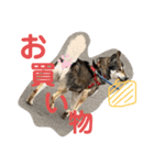 ひなんぷ  vol.2（個別スタンプ：14）