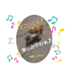 日常会話 犬スタンプ（個別スタンプ：4）