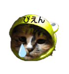ぴよぴよきなこ（個別スタンプ：14）