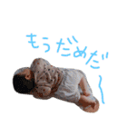 あおちゃの日常(8ヶ月)（個別スタンプ：13）