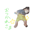 あおちゃの日常(8ヶ月)（個別スタンプ：14）