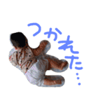 あおちゃの日常(8ヶ月)（個別スタンプ：15）