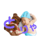 トイプードル⭐︎ほったんほったん（個別スタンプ：38）