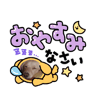 わんにゃん あいさつ（個別スタンプ：1）