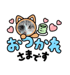 わんにゃん あいさつ（個別スタンプ：7）