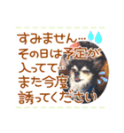 NOZUfamily（個別スタンプ：9）