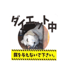 NOZUfamily（個別スタンプ：16）
