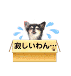 NOZUfamily（個別スタンプ：25）