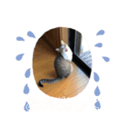すずちゃん佐藤家の天使スタンプ（個別スタンプ：6）