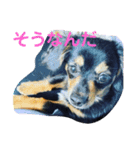 ソラの日常3（個別スタンプ：12）