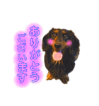 ゆうたろパワーアップ（個別スタンプ：3）