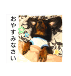 ゆうたろパワーアップ（個別スタンプ：14）
