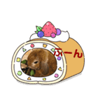 うさぎのしんしん うちの子スタンプ（個別スタンプ：5）
