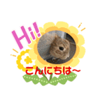 うさぎのしんしん うちの子スタンプ（個別スタンプ：6）