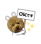 もこちゃんの日常すたんぷ（個別スタンプ：12）