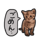 こねこきょうだい（個別スタンプ：7）