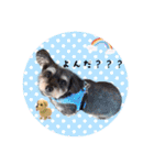 みんこさまの作るスタンプ（個別スタンプ：6）